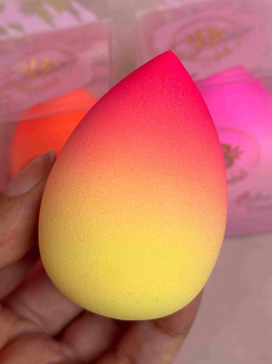 Esponja multicolor Bloomshell