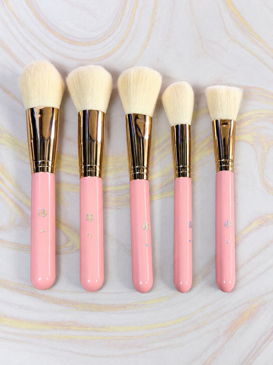 Kit de Brochas Rosadas x 11 REF OH-26-110