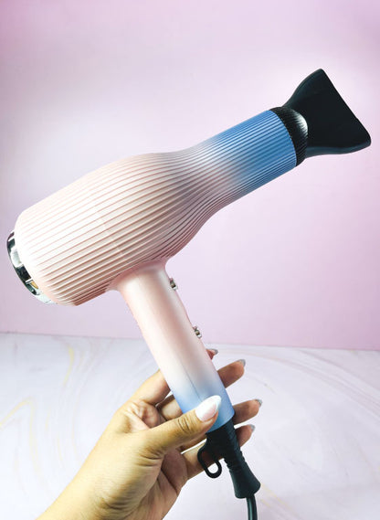 Secador profesional GW 6603